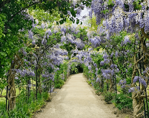 Garden Walkway